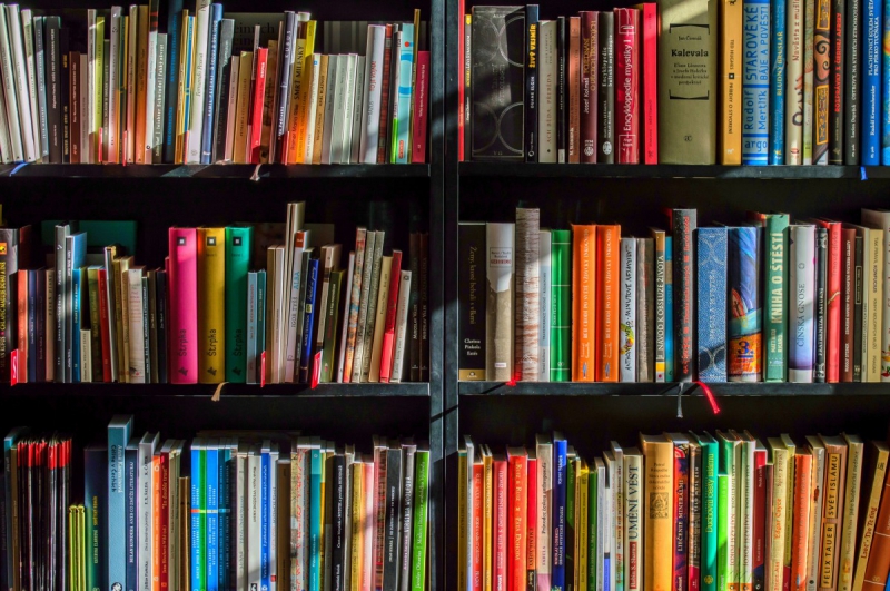 boutique-VENCE-min_books_bookstore_book_reading_shop_writer_sale_books_read-822866